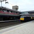 Stafford