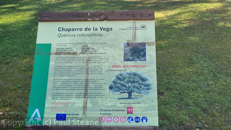 Chaparro de la Vega