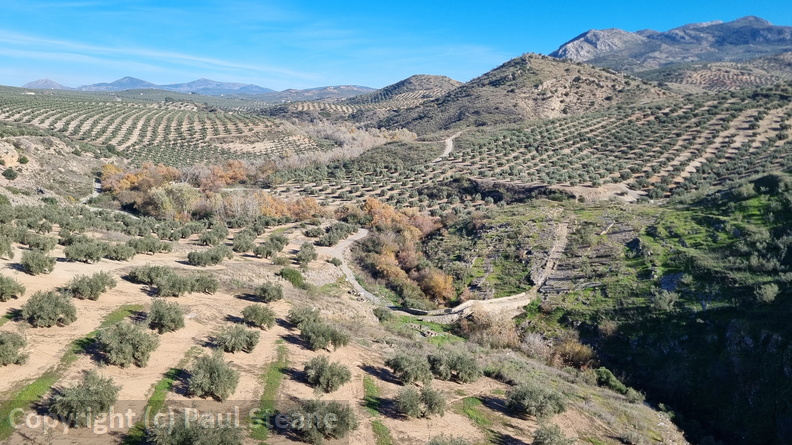 Vía Verde del Aceite