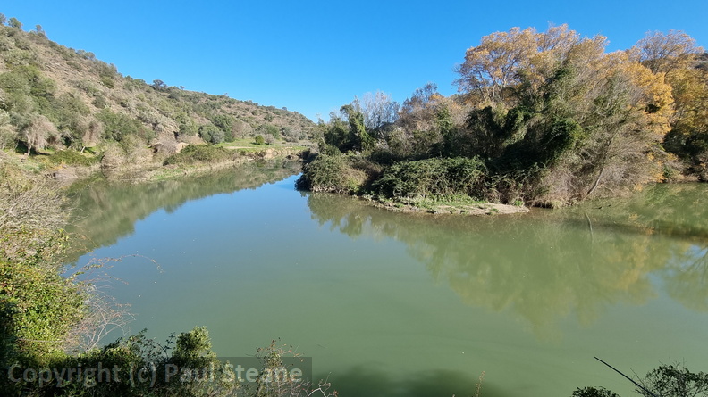 Rivera de Golondrina