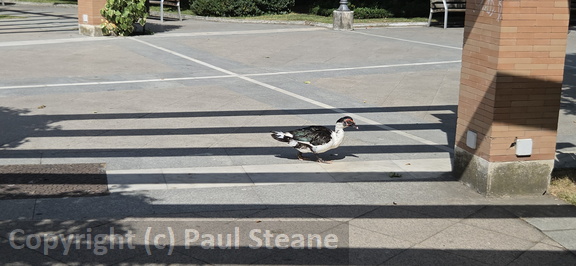 Valladolid - Parque Campo Grande