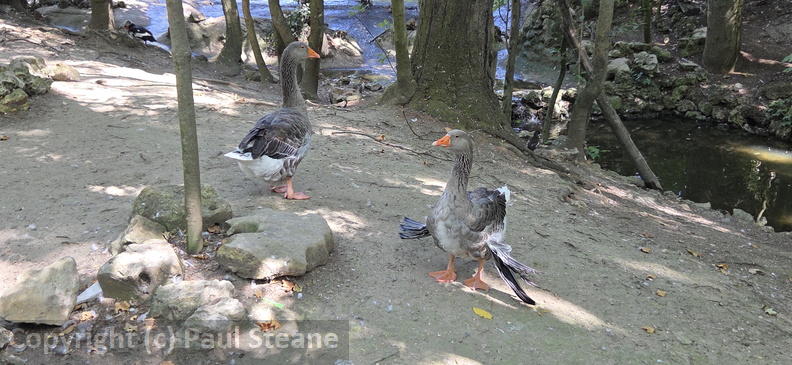 Valladolid - Parque Campo Grande