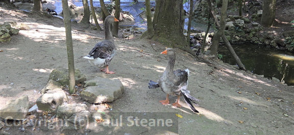 Valladolid - Parque Campo Grande