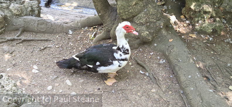 Valladolid - Parque Campo Grande