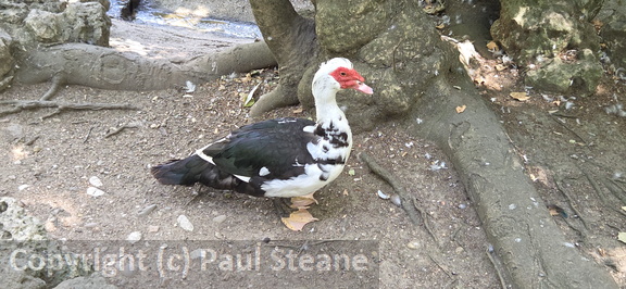 Valladolid - Parque Campo Grande