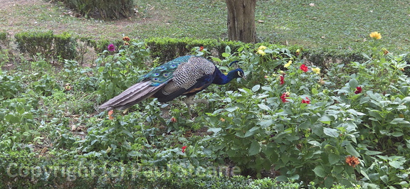 Valladolid - Parque Campo Grande